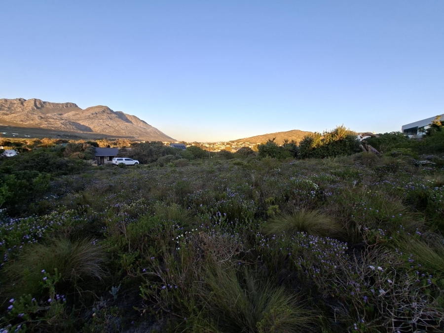 0 Bedroom Property for Sale in Pringle Bay Western Cape